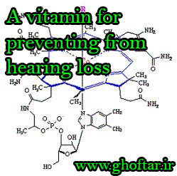 A vitamin for preventing from hearing loss
