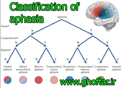 Classification of aphasia