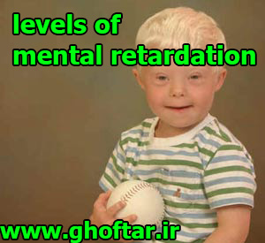 levels of mental retardation