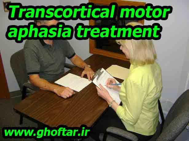 transcortical motor aphasia treatment