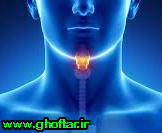 index-of-voice-disorder