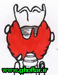 larynx-changes-due-to-glands
